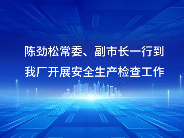 陈劲松常委、副市长一行到我厂开展安全生产检查工作强调安全生产与优化服务